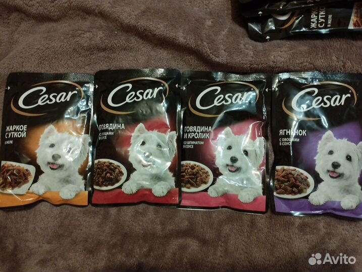 Влажный корм для собак Cesar