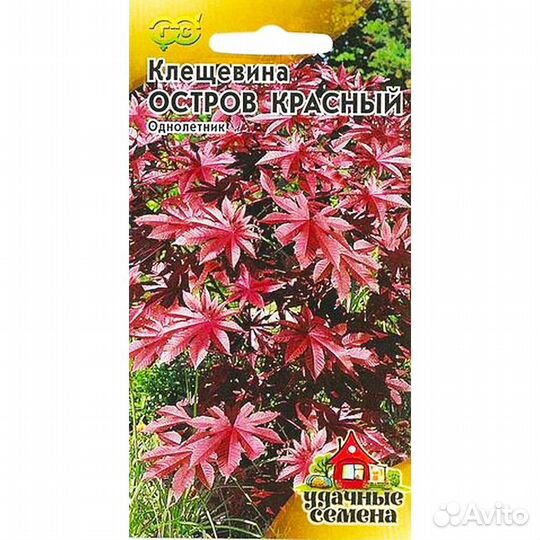 Клещевина Остров красный