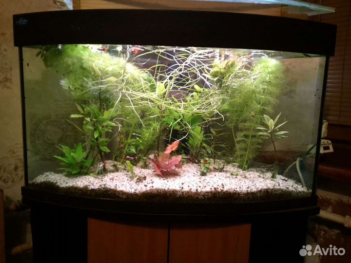 Аквариум фирмы 