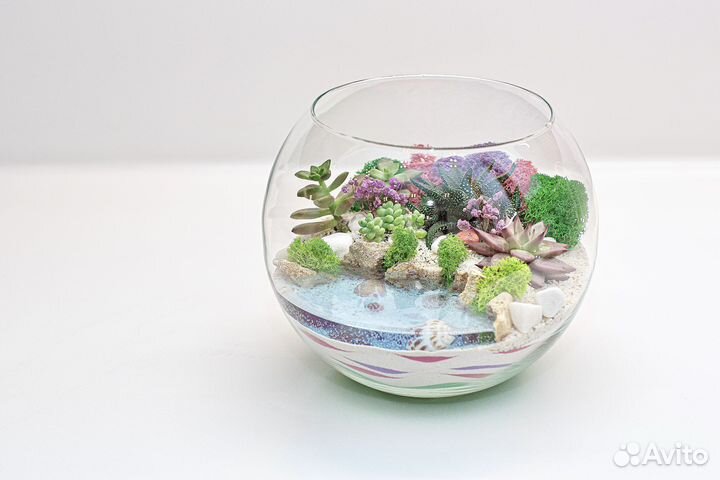 Флорариум из суккулентов