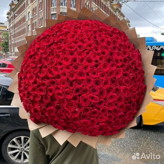 101роза 25роза 35роза 51роза 101роза в корзине