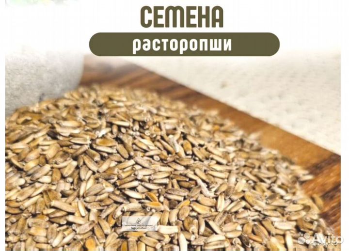 Качественные семена расторопши от производителя