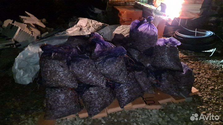 Семенной чеснок Любаша бульбачки Эко