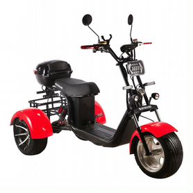 Электроскутер SkyBoard Trike BR60-3000 Pro Fast