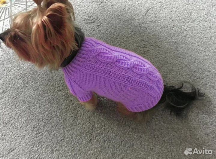 Одежда для маленьких собак
