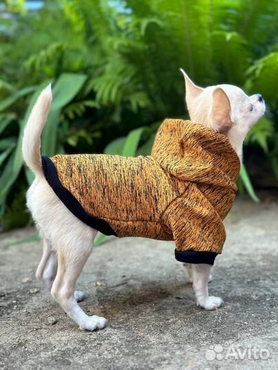 Футболка для собак