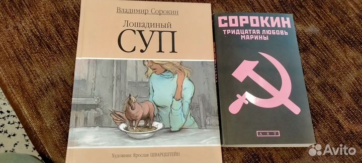 В.Сорокин 13 любовь Марины и лошадиный суп
