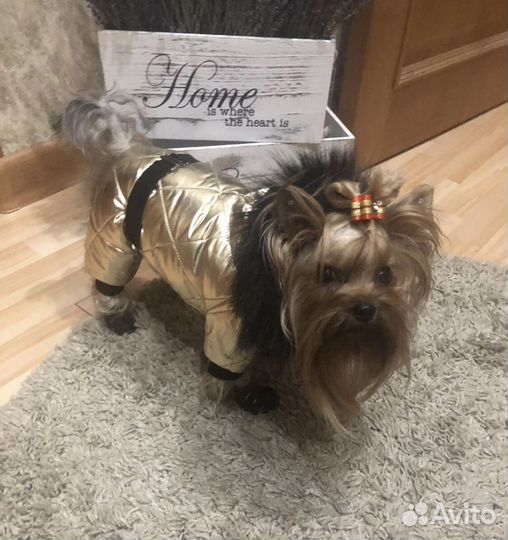 Зимний комбинезон новый