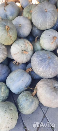 Продаётся тыква витаминная