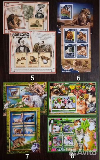 Коллекция фауна Кошки 2 (чистые )