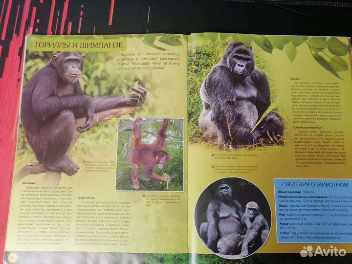 Энциклопедия о животных