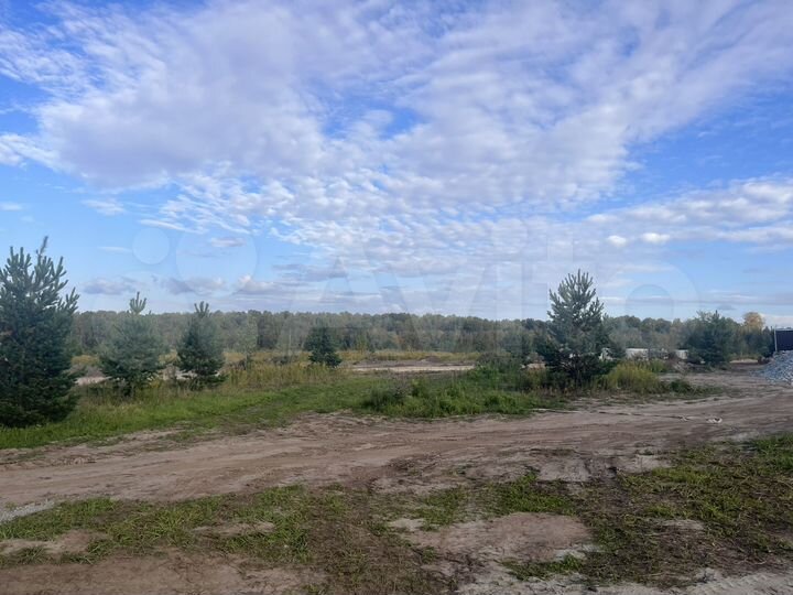 Дом 90 м² на участке 7 сот.