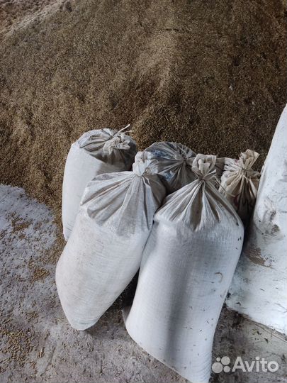 Овёс пшеница