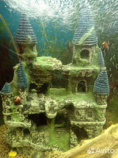 Аквариум, рыбки, декорации