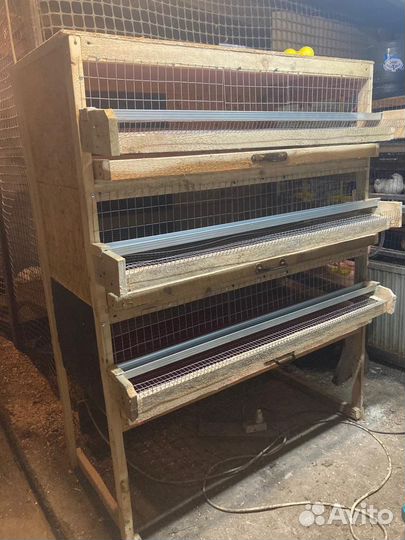 Клетки для перепелов