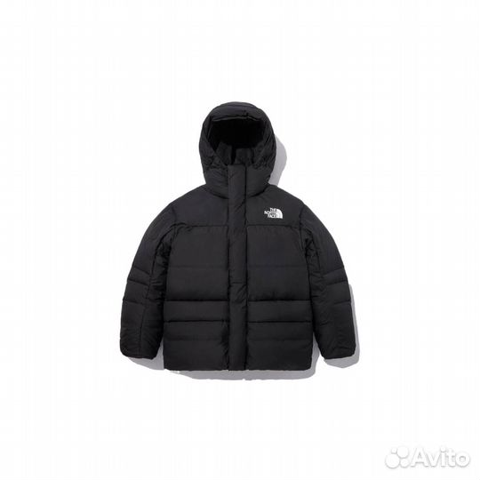 THE north face Down Jacket Men Black (L)(89)
