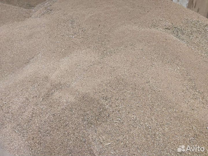 Зерно фуражное и размол