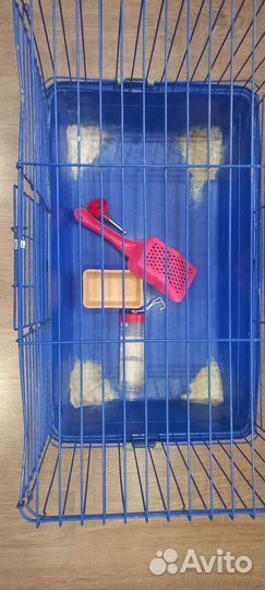 Клетка для декоративного кролика,крыс