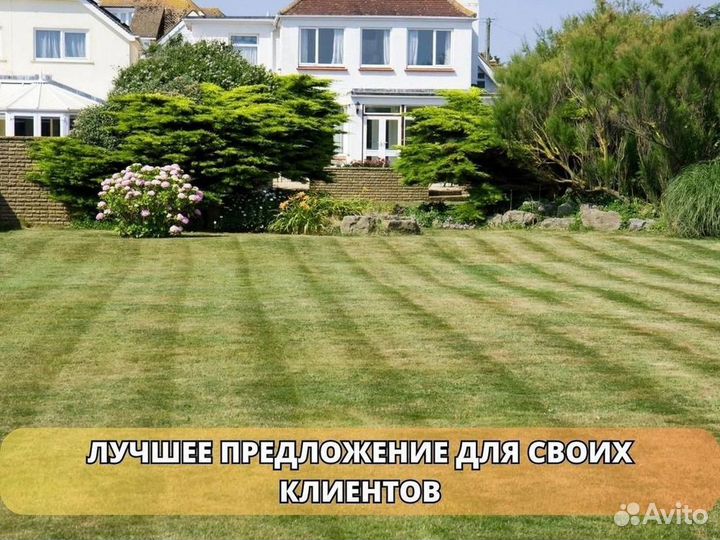 Укладка и продажа газона