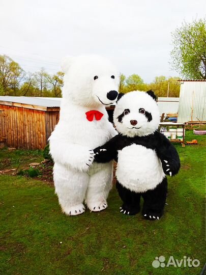 Белый мишка и Панда поздравление