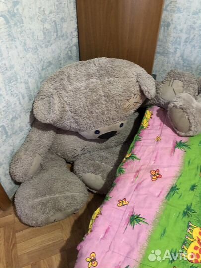 Мишка Тедди