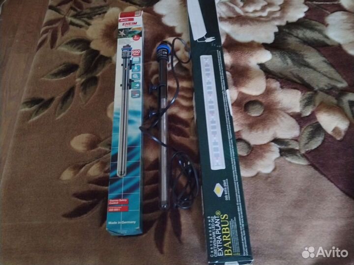 Аквариумистика