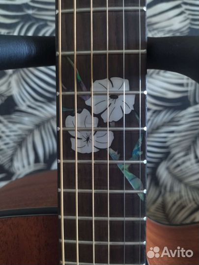 Акустическая гитара Cate