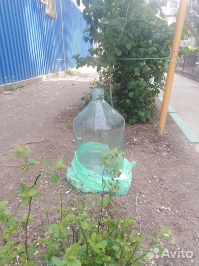 Бутыль стеклянная 20 литров