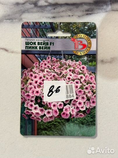Рассада петунии, петуния каскадная пинк вейн