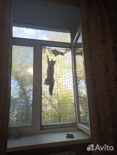 Балкон для домашних Любимцев. Кошечек и котиков