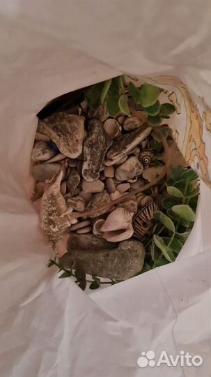 Компрессор для аквариума и декор