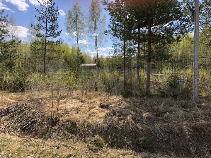 Участок 12,2 сот. (СНТ, ДНП)