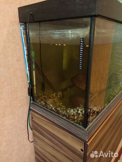 Аквариум для рыб