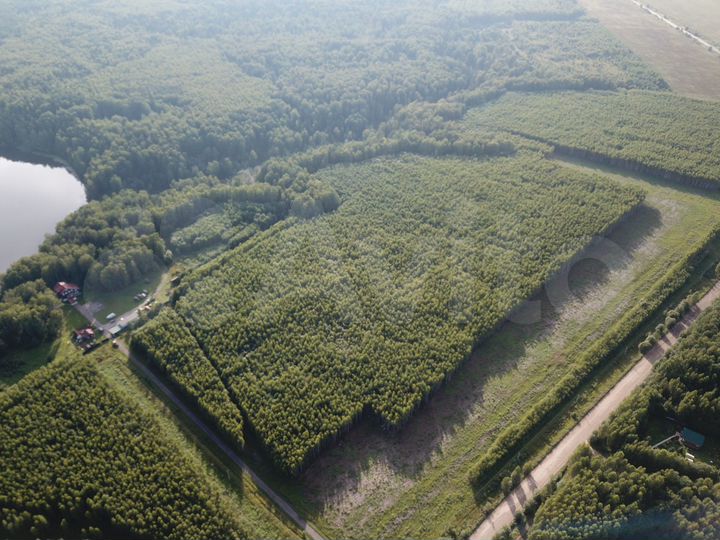 Участок 25 га (ИЖС)