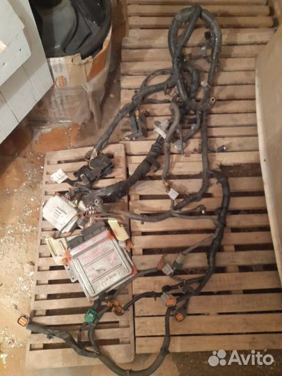 Коса и блоки эбу VQ35 подкапотная