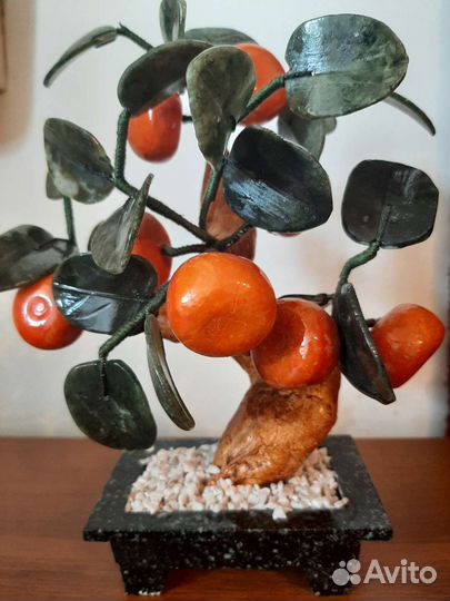 Дерево мандариновое бонсай