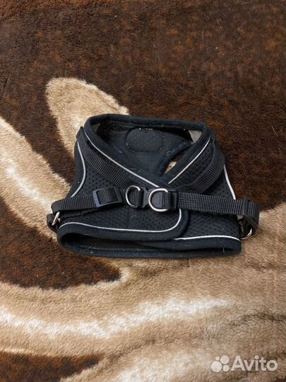 Шлейка доя собак