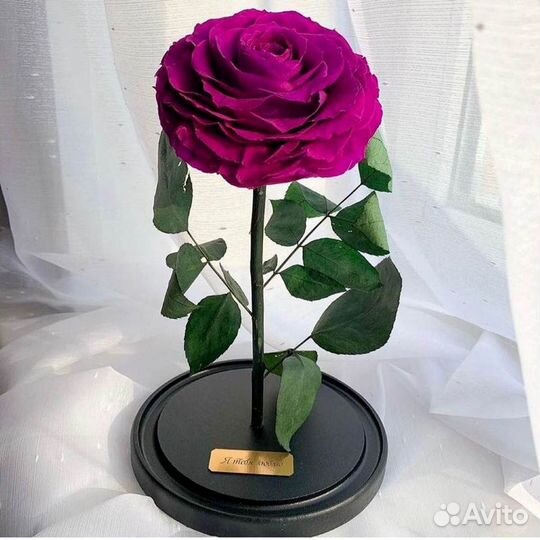 Розы в колбе разные