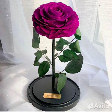 Розы в колбе разные