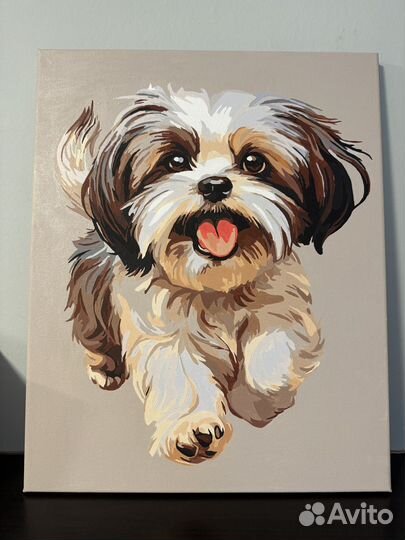 Картина Собака породы Ши-тцу