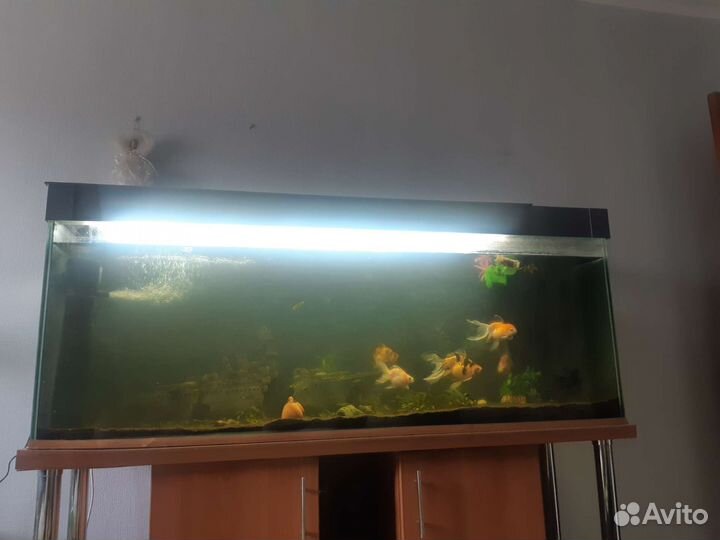 Аквариум 400литров