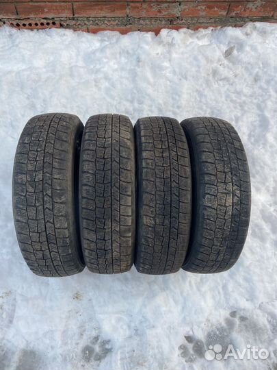 Dunlop Winter Maxx 165/65 R14