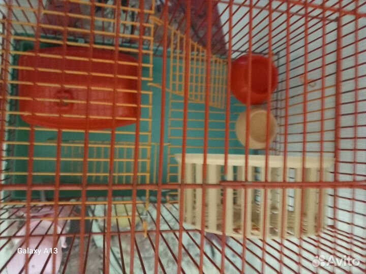 Клетка для грызунов бу