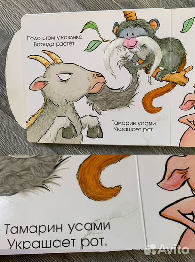 Мэтью ван флит