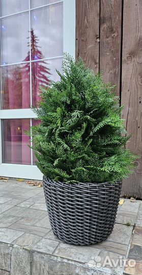 Искусственная туя