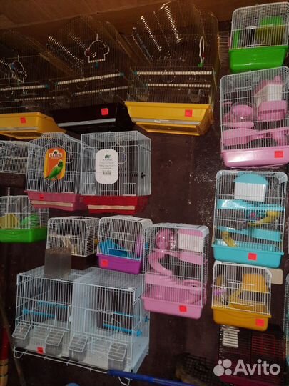 Аквариум и оборудования