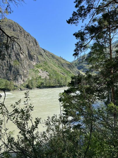 Участок 100 сот. (СНТ, ДНП)