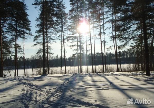 Походы по Подмосковью