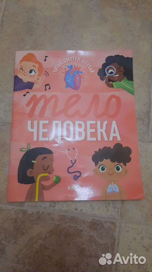 Тело человека clever