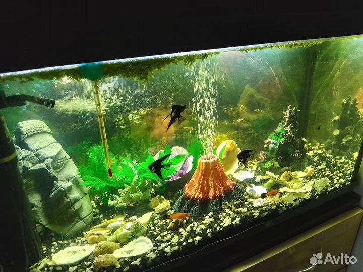 Аквариум